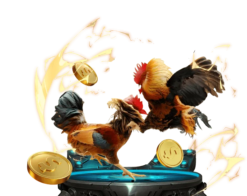 Hình ảnh minh họa chiến thuật cá cược đá gà